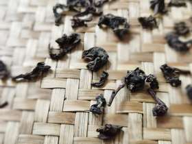 真正的好茶有用才更有价值。 