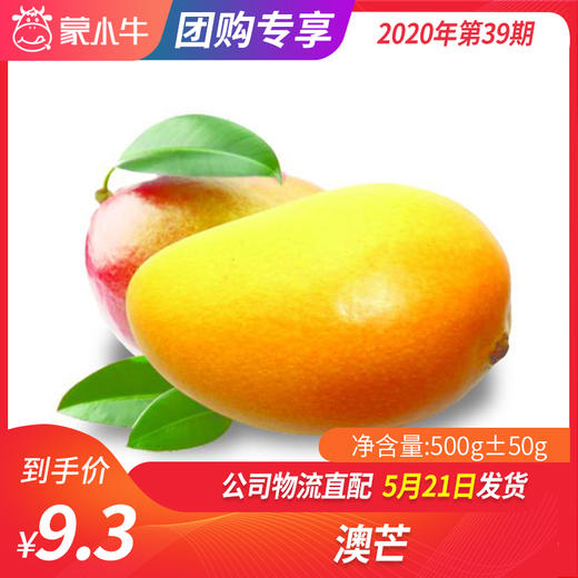 【水果团购】澳芒500g±50g 商品图0