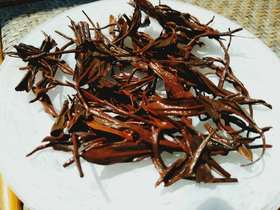 第一节课：初识茶叶