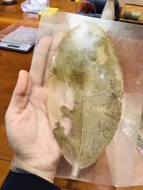 第三节课补充：您还在喝骨头汤吗？
