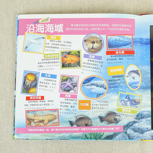 神奇魔法手电筒图书 商品图2