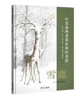信谊 雪鹿 张哲铭 3-6岁儿童绘本 正版