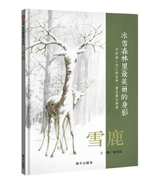 信谊 雪鹿 张哲铭 3-6岁儿童绘本 正版 商品图0