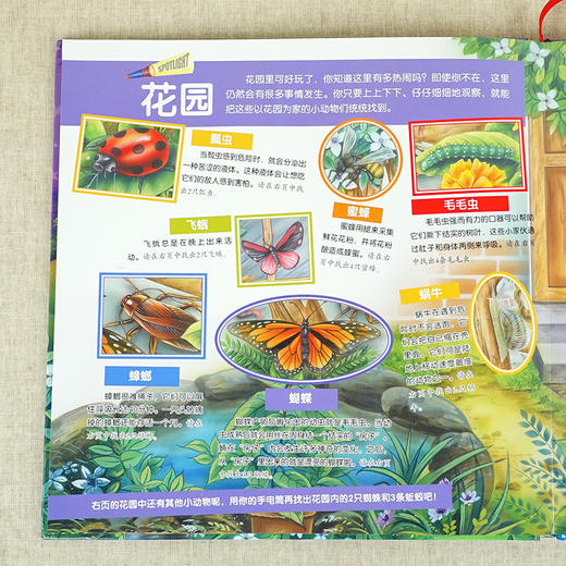 神奇魔法手电筒图书 商品图4