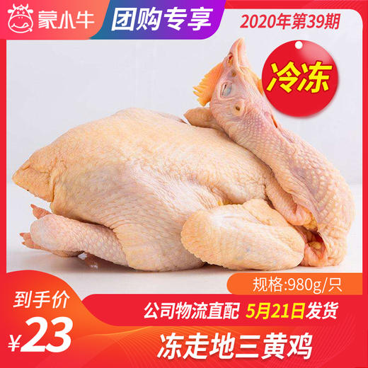 【冻品团购】冻走地三黄鸡980g/只 商品图0