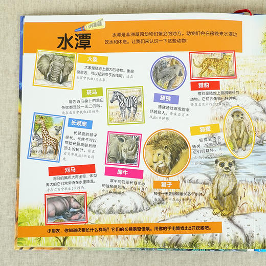 神奇魔法手电筒图书 商品图5