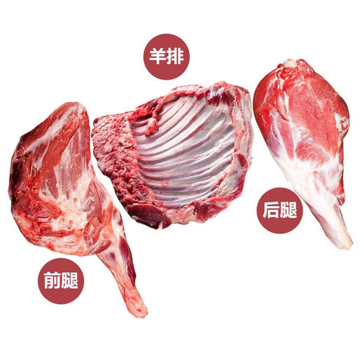 白云飘内蒙乌珠穆沁半只羔羊肉9.2斤分割白条羊羊排羊腿烧烤食材 商品图0