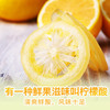 【百草味-即食水晶柠檬片65g】 零食水果干 尤力克柠檬干 商品缩略图2