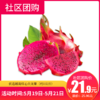 【社区团购】优选越南红心火龙果（约1公斤）  9261 商品缩略图0