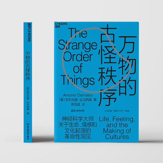 湛庐┃万物的古怪秩序 商品图2