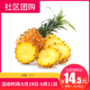 【社区团购】凤梨个 70486 商品缩略图0