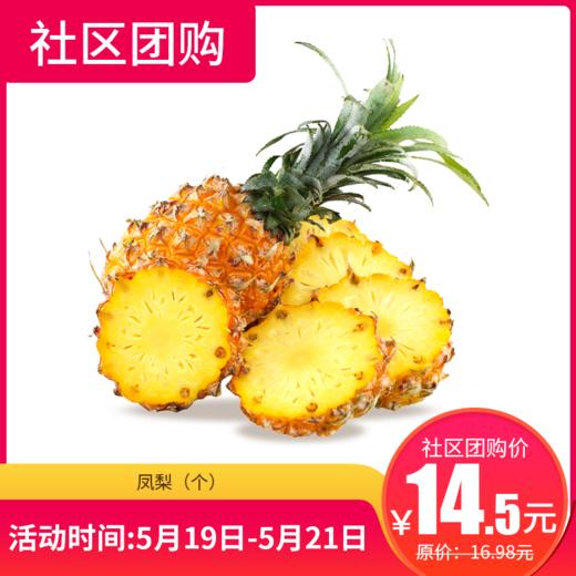 【社区团购】凤梨个 70486 商品图0