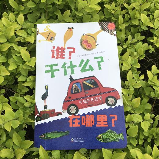 【思维启蒙】千变万化的书（共3册） 可以换一种不同的方法读到故事书 激发想象力 商品图2