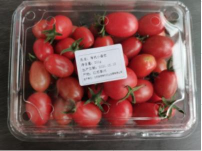 有机樱桃番茄500g 商品图0