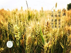 小满丨一大波冷饮凉菜正在上桌，艾灸这3个穴位护好胃肠