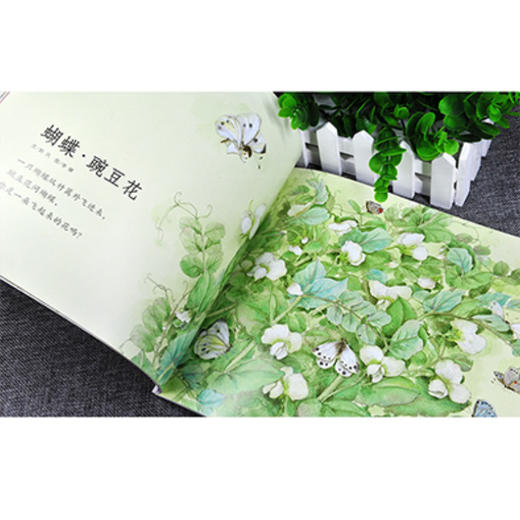 《蝴蝶▪豌豆花》在诗情画意中培养孩子想象力、审美力和语言表达能力 商品图4