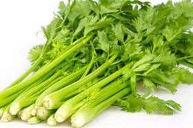上庄店 大芹菜500g