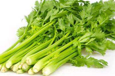 上庄店 大芹菜500g 商品图0