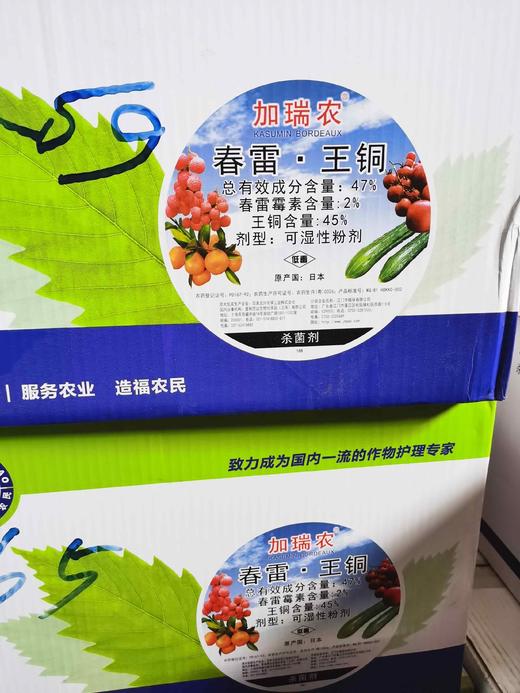加瑞农47%春雷霉素王铜可湿性粉剂 商品图2