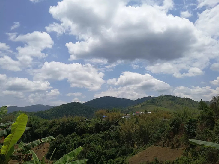 这也是整个西双版纳海拔最高的一座山峰