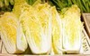 上庄店 娃娃菜500g/包 商品缩略图1