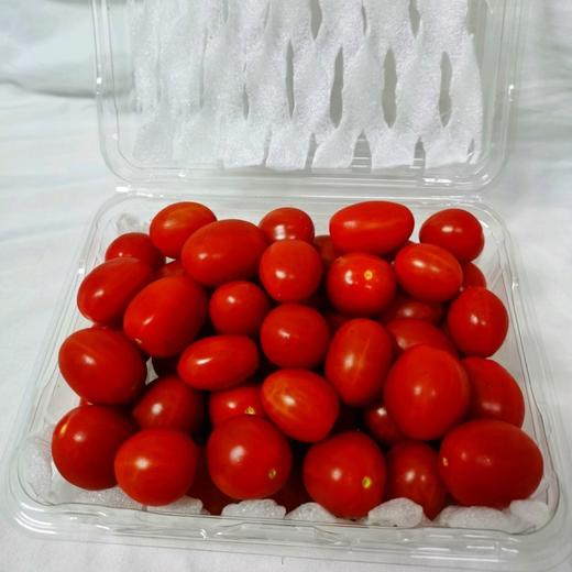 红宝石小番茄 4盒* 450g 商品图6