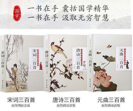 特惠《唐诗宋词元曲300首》诠注诠释 商品图2