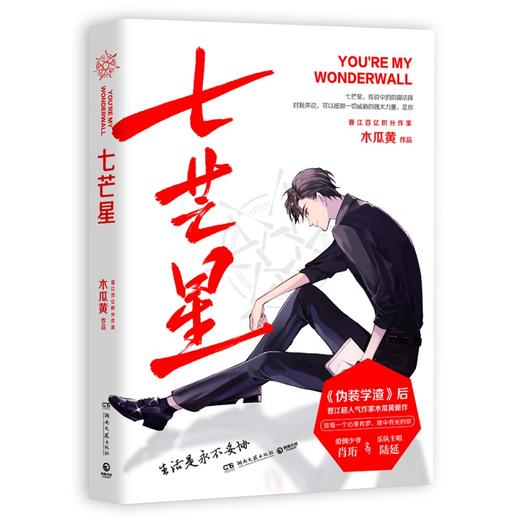 七芒星 晋江人气作家木瓜黄2020年新书 商品图0