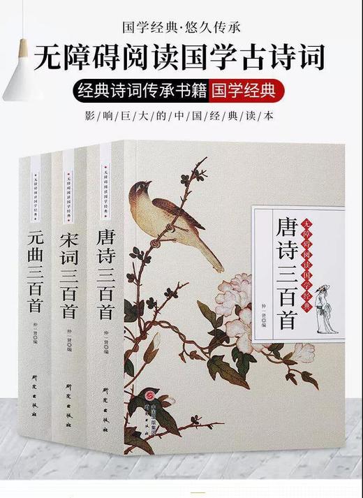 特惠《唐诗宋词元曲300首》诠注诠释 商品图0