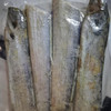 【雷达网油带鱼】舟山小眼睛带鱼 深海捕捞 零下60度的急冻 6-8两/条大带鱼 商品缩略图1