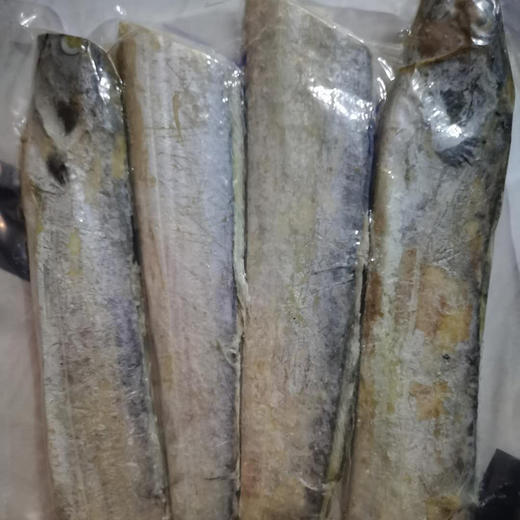 【雷达网油带鱼】舟山小眼睛带鱼 深海捕捞 零下60度的急冻 6-8两/条大带鱼 商品图1
