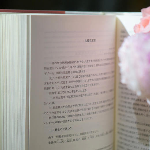 《共產黨宣言》在中國—— 《共產黨宣言》的譯本與底本 商品图8