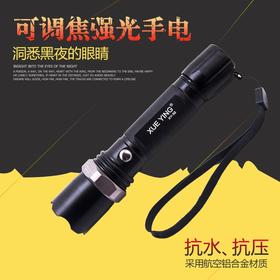 金利品HC-0396 小型充电手电筒夜间强光电灯