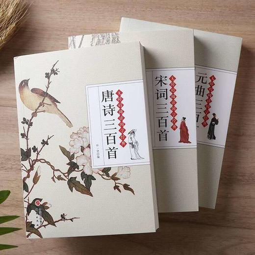 特惠《唐诗宋词元曲300首》诠注诠释 商品图3