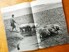 《嘉陵江影像轶事》杨麾最新摄影作品集/中国民族摄影艺术出版社 商品缩略图3