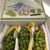 晴王葡萄 商品缩略图3