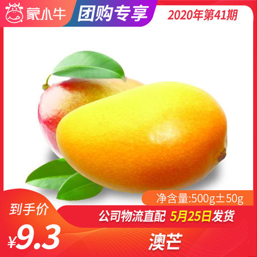 【水果团购】澳芒500g±50g 商品图0