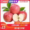 【水果团购】洛川富士苹果1.5KG±200g 商品缩略图0