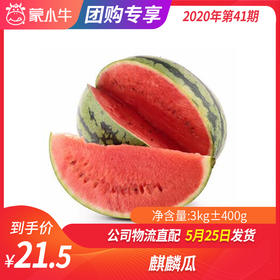 【水果团购】麒麟瓜3KG±400g