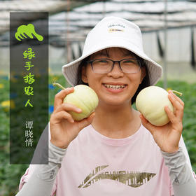 有机香瓜 | 绿家自产* Organic melon | Self-production