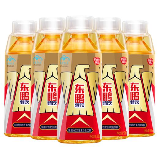 东鹏特饮500ML*24瓶 商品图0