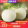 【水果团购】阎良甜瓜2.5KG±200g 商品缩略图0