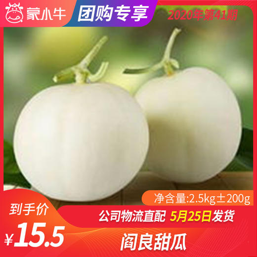 【水果团购】阎良甜瓜2.5KG±200g 商品图0