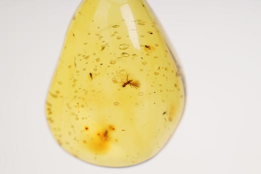 虫珀·墨西哥蓝珀吊坠 收藏级 商品图1