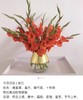 红色剑兰10枝一扎 商品缩略图0