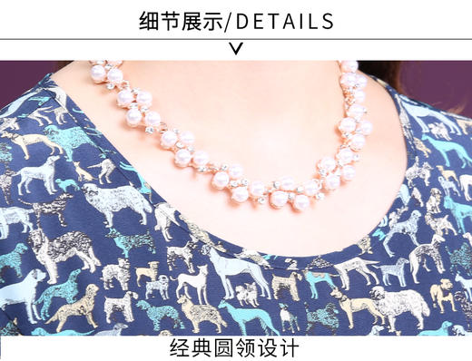 WXY-M013新款夏短袖圆领大码桑蚕丝沙滩裙子 商品图6