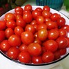 红宝石小番茄 4盒* 450g 商品缩略图4