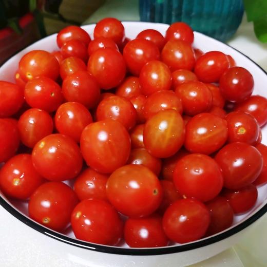 红宝石小番茄 4盒* 450g 商品图4