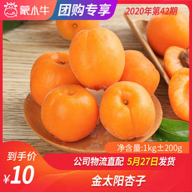 【水果团购】金太阳杏子1KG±200g
