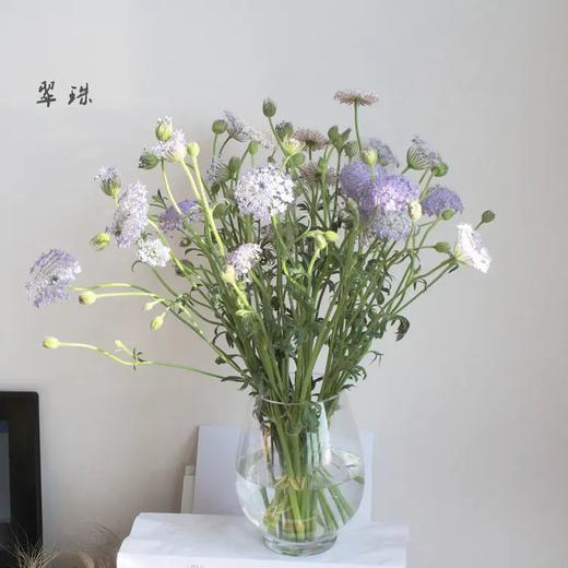 浅紫色翠珠8-10枝一扎 商品图1